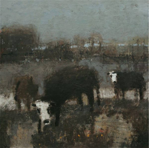 Cows