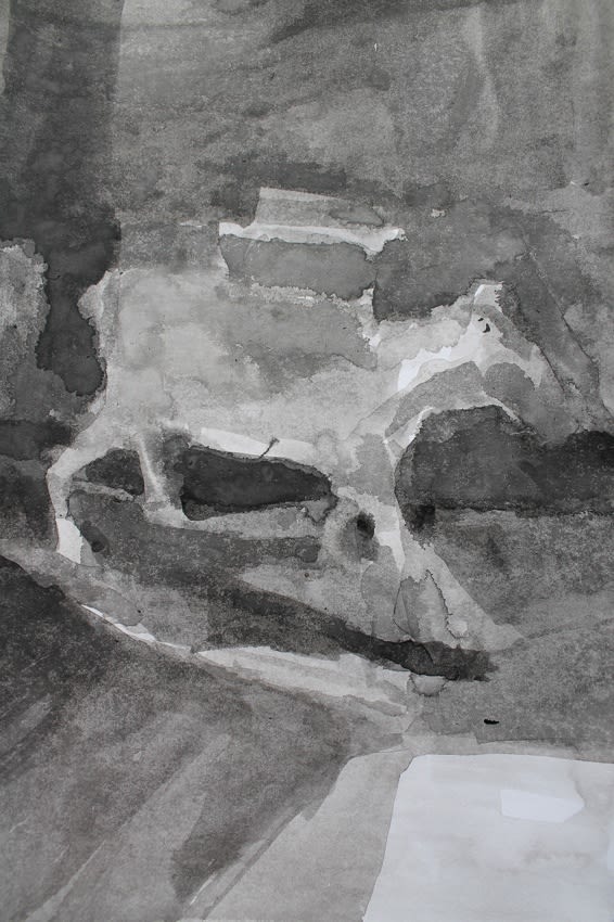 Observational Drawing: Donkey Study