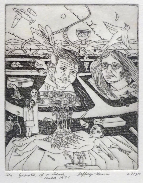 Jeffreyharris Thegrowthofadeadchild 1971 27Of30 125X95Mm Crop