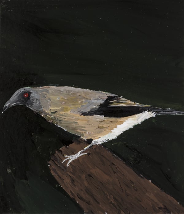 Lewer Bellbird 2019