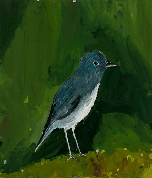 Lewer Robin 2019