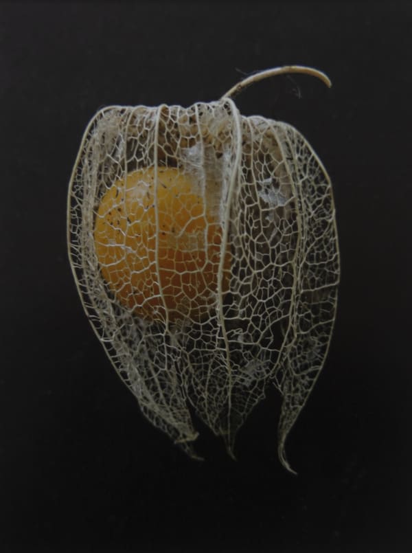 Veil