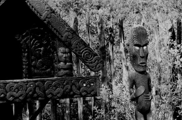 Whakarewarewa 1993