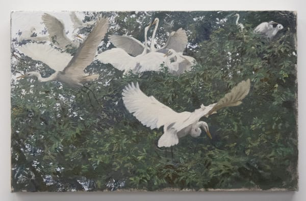 06 Resounding Heights Cropped