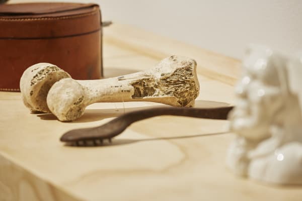 Wayne Youle Partaka 0022