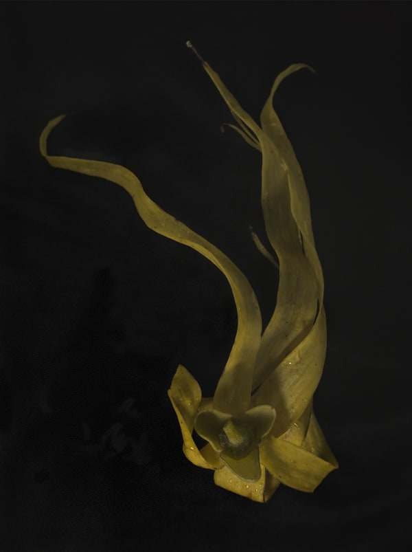 E Mokosoi Seven Fiji 2014 2356 Copy