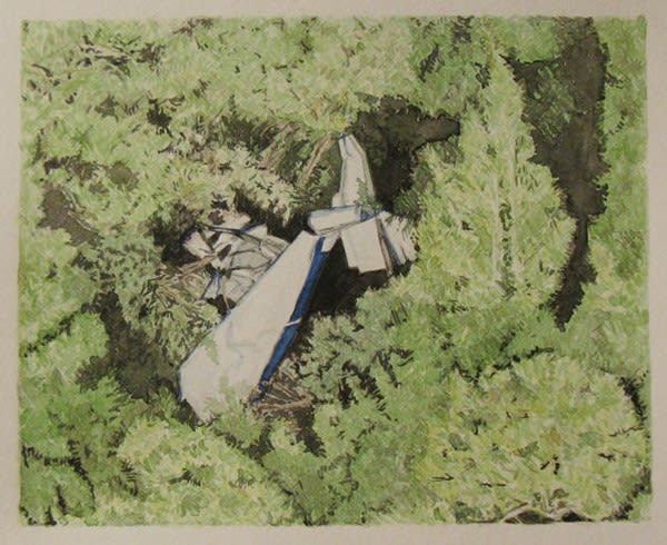 164 Web Simmonsfoundyesterday2010