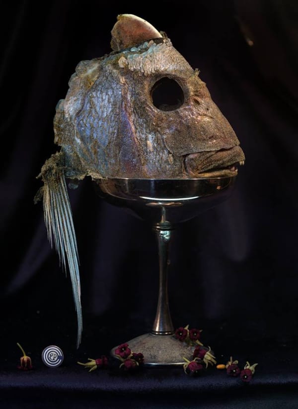 Fiona Pardington Fish Head