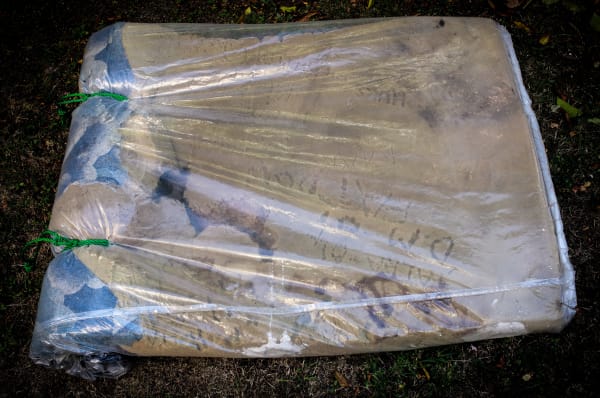 Iti 01 Te Manawa O Tuhoe A