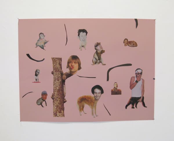 Cherry Dumm Rosa Bild