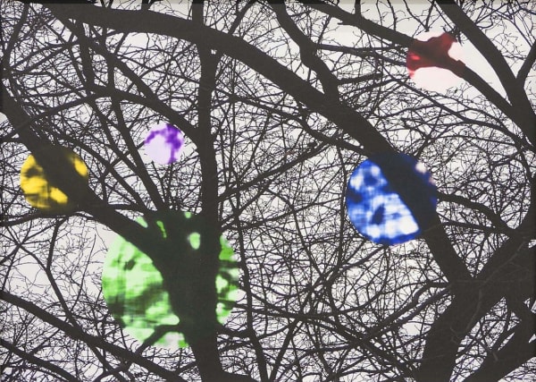 Wayne Youle Strange Fruits