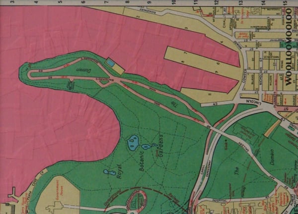 Youle From Up High In Elizabeth Bay Web