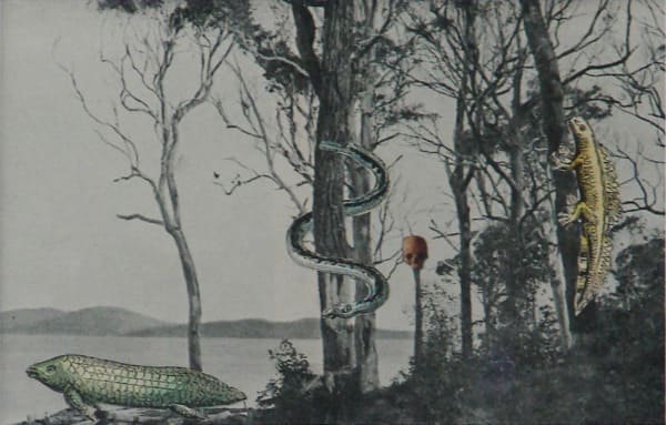 Youle Pre Historic Web