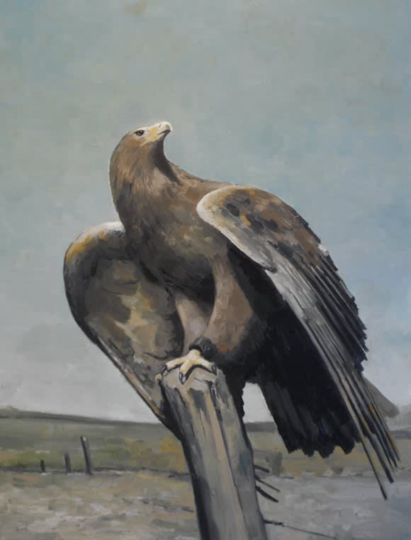 Golden Eagle Large