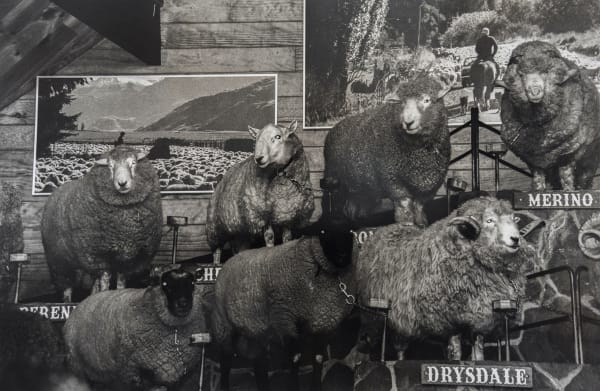 Theagrodome