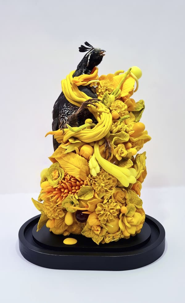 C Persister 2022 Asinger 380X270X180Mm Vintage Taxidermy Quail Porcelain Polymer Clay Crystals Wood Base And Glass Dome Crop 1