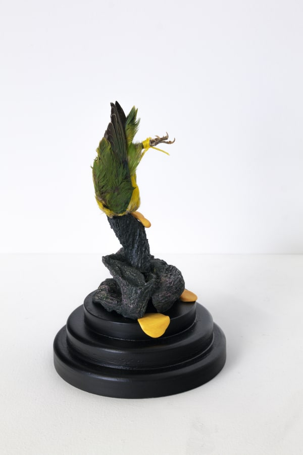 L1100401