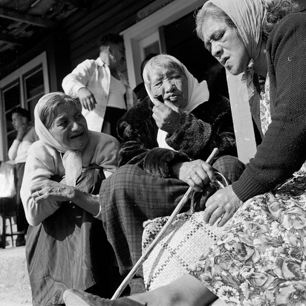 87 Turangawaewaemarae Ngaruawahia 1961 Awm 0043 12 Web