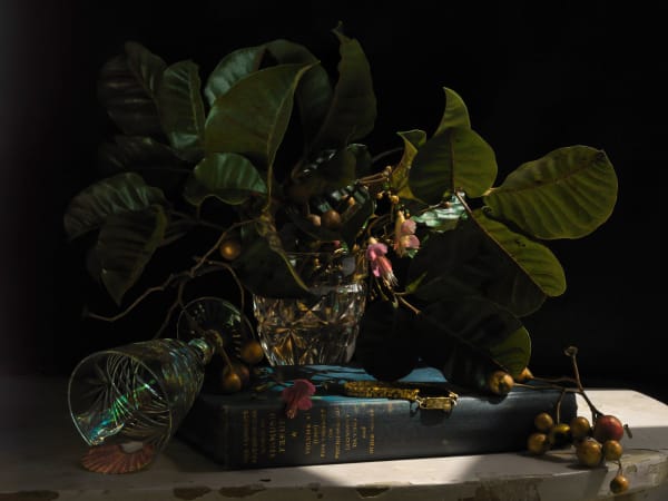 E Still Life With Freud And Puriri 2012 1549