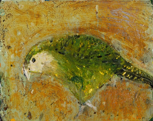 Lewer Kakapo