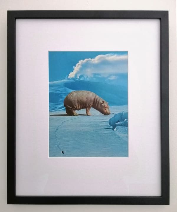 Archer Giant Hippopotamus Email