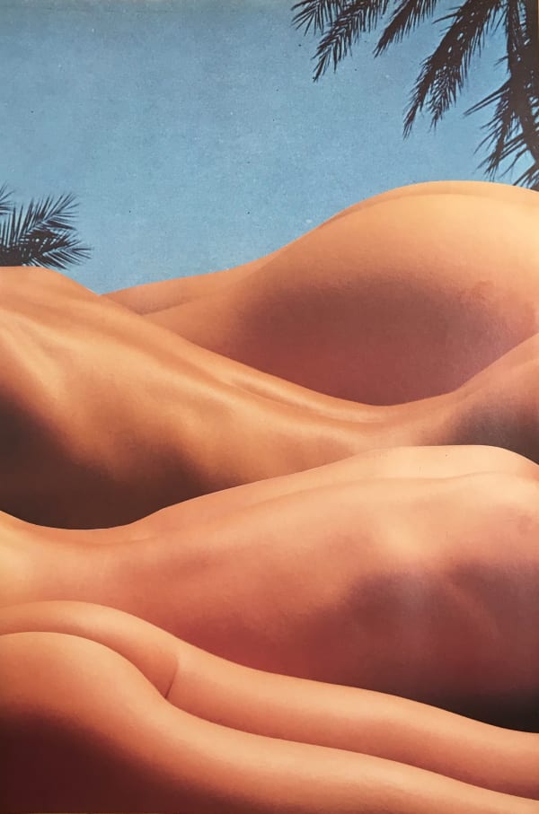 Archer Rolling Dunes Large