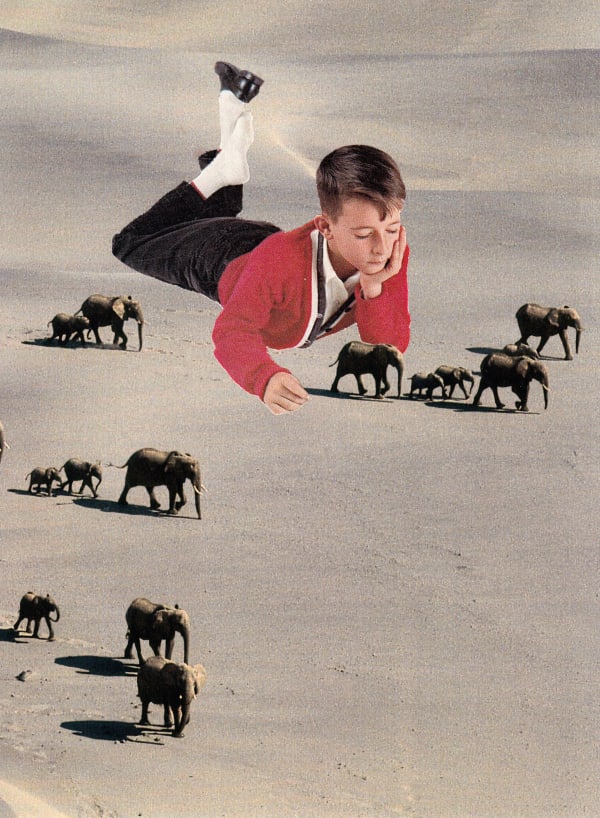 Archer Tiny Elephants Large