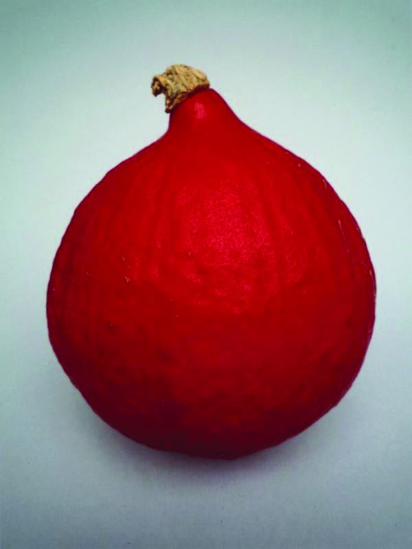 Peter Peryer Pumpkin 2010