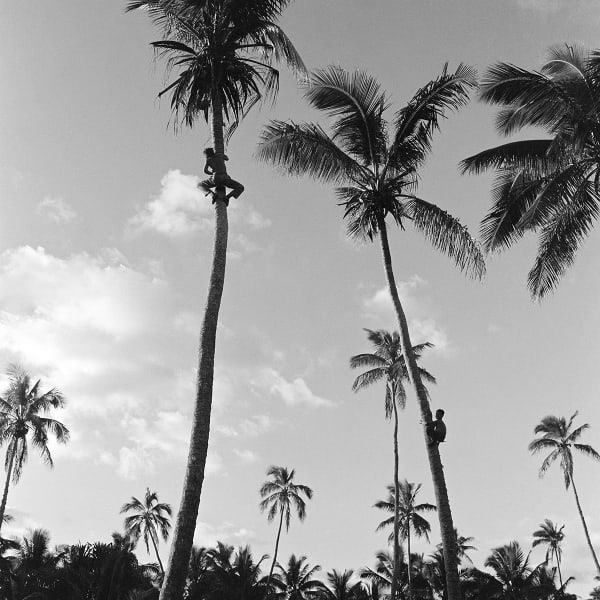 Ans Westra Tonga, 1963, from 'Viliami of the Friendly Islands' Archival pigment inks on Hahnemuhle paper 380 x 380 mm Edition of 25 ______