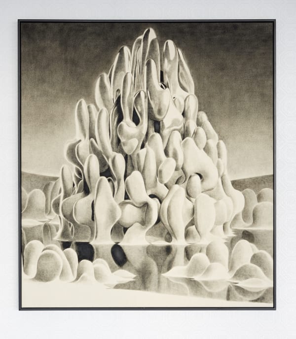 Stichbury Laplacian Assumption 2019 Large