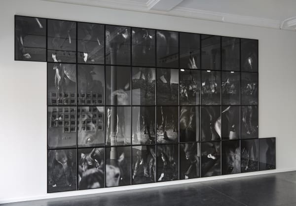 Bruce Connew | Body of Work {Suite} Wellington