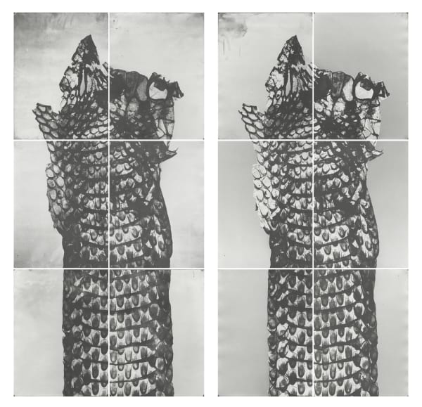 Les formes muettes Houda Kabbaj