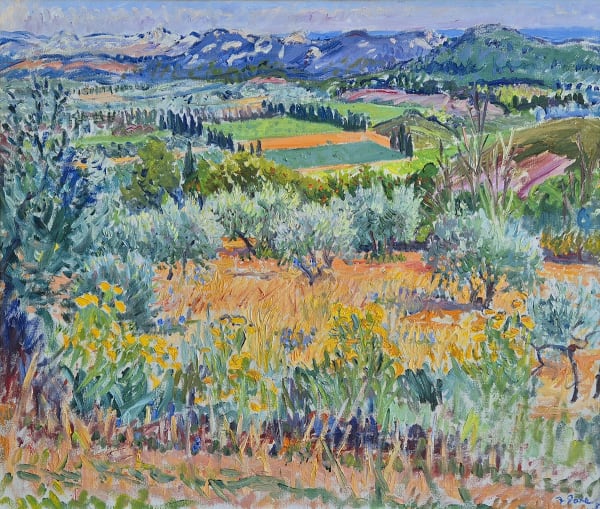 Frederick Gore CBE RA, Olive trees, Les Baux, 1982