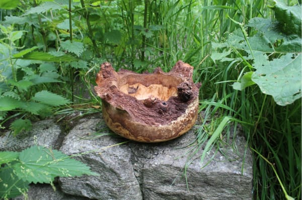 Darren Appiagyei, The Bark Collection, 2022