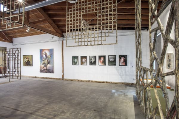 Photo Joshua White Jwpictures Com 4Q6A6725