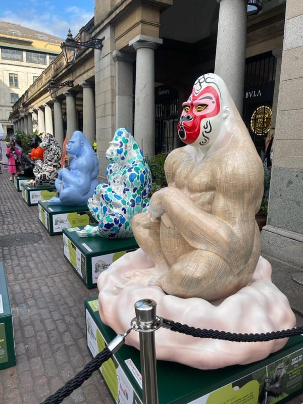 The Tusk Gorilla Trail