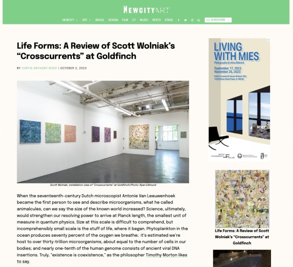 Scott Wolniak's "Crosscurrents" Reviewed in New City