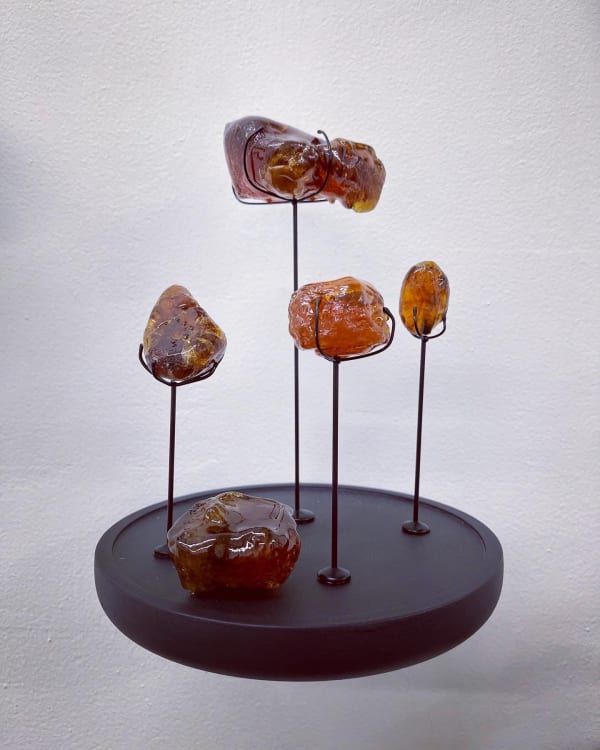 Jenny Kendler's Amber Archive at Goldfinch, Part 1