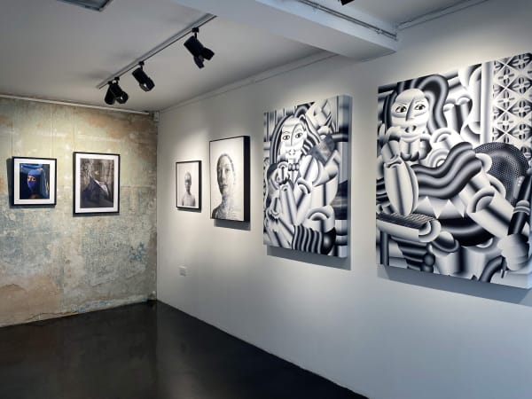 Installation Portraiture 11