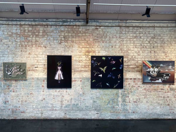 Ds Installation Image 10