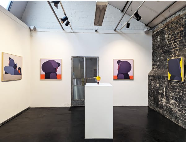 Masi Installation 14