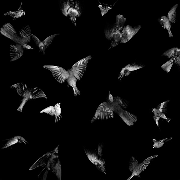 Mery Donoghue on 'Dream State' Group Exhibition