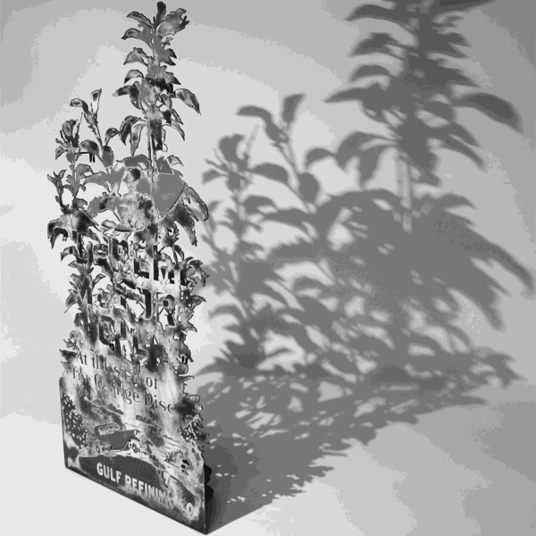 Dan Rawlings on how 'It Went Like This'