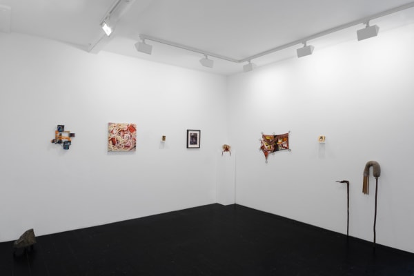 Medusa Install 8 Web