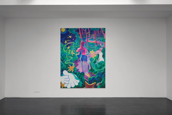 27 44 49 82 Install Image 10 Web