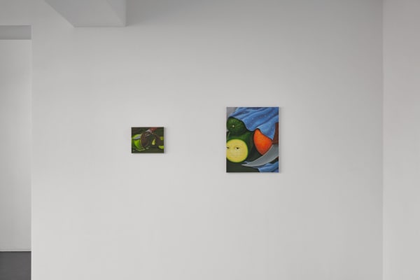 27 44 49 82 Install Image 11 Web