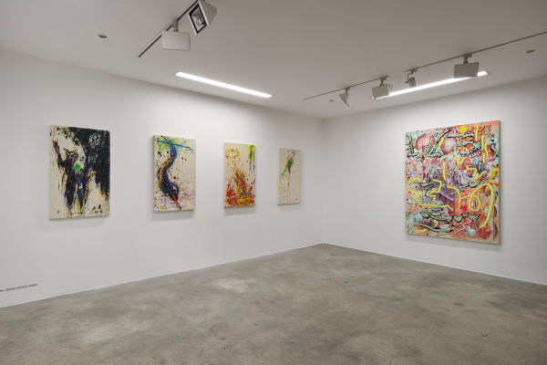 27 44 49 82 Install Image 36 Web