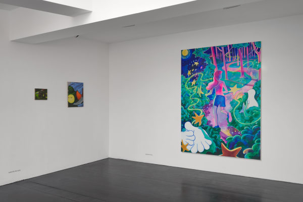 27 44 49 82 Install Image 9 Web