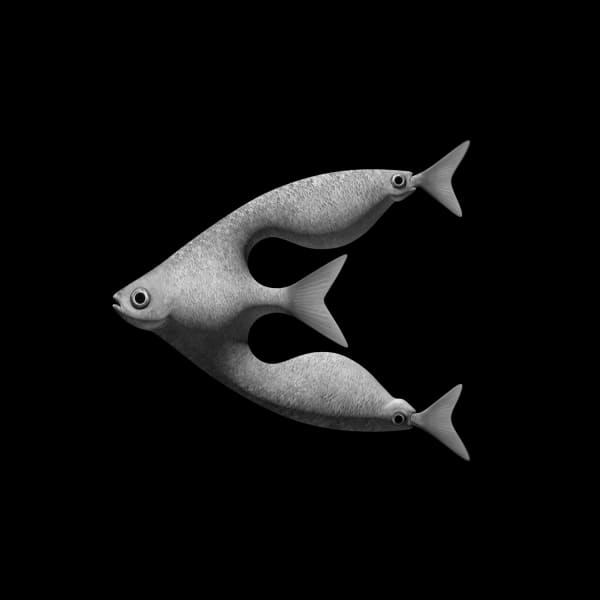 COMBINED FISH 2017 Pigment Print 11 x 11 cm