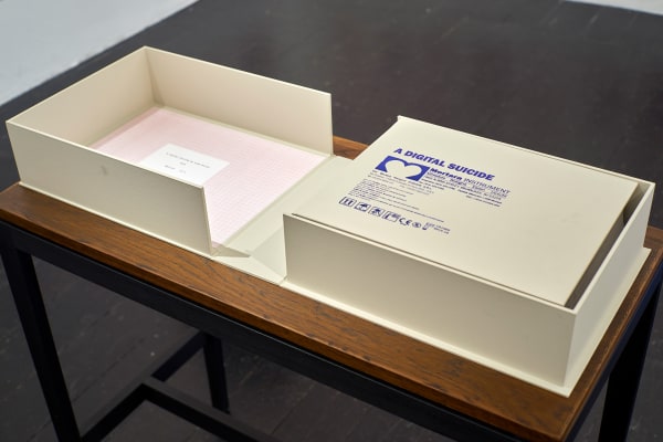 Liam Scully A Digital Suicide 10 Web